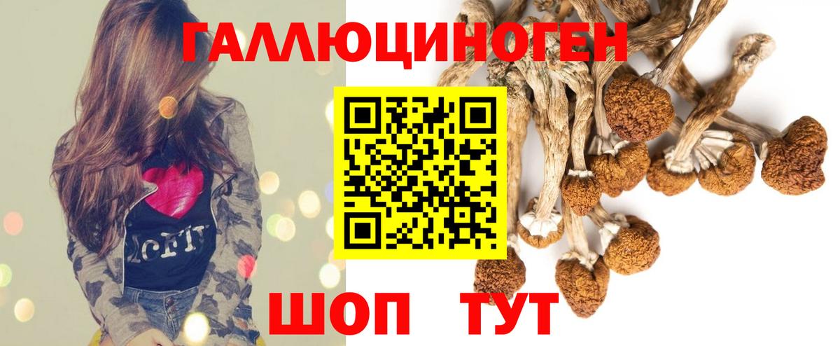 Галлюциногенные грибы ЛСД  Вход с VPN  Кудымкар  Галлюциногенные грибы Magic Shrooms 
